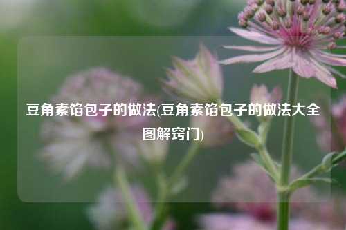 豆角素馅包子的做法(豆角素馅包子的做法大全图解窍门)