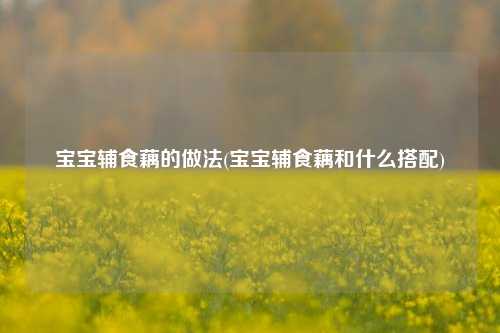 宝宝辅食藕的做法(宝宝辅食藕和什么搭配)