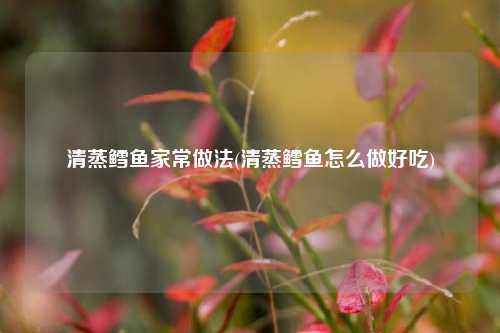 清蒸鳕鱼家常做法(清蒸鳕鱼怎么做好吃)