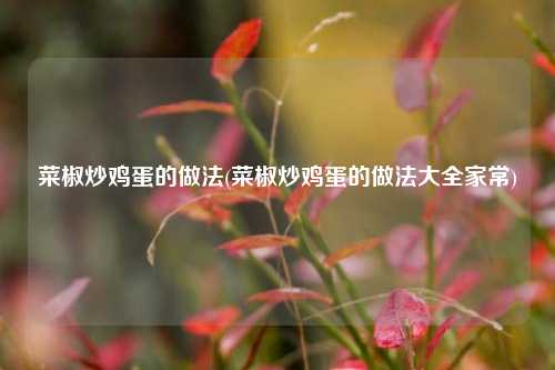 菜椒炒鸡蛋的做法(菜椒炒鸡蛋的做法大全家常)