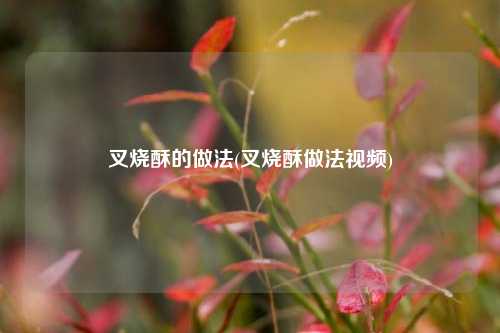 叉烧酥的做法(叉烧酥做法视频)