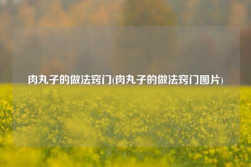 肉丸子的做法窍门(肉丸子的做法窍门图片)