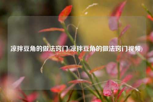 凉拌豆角的做法窍门(凉拌豆角的做法窍门视频)