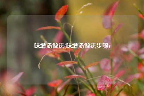 味增汤做法(味增汤做法步骤)