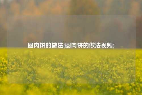 圆肉饼的做法(圆肉饼的做法视频)