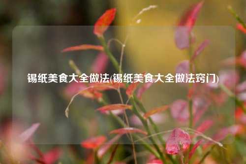 锡纸美食大全做法(锡纸美食大全做法窍门)