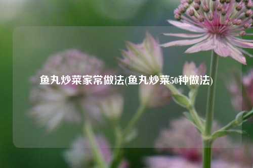 鱼丸炒菜家常做法(鱼丸炒菜50种做法)