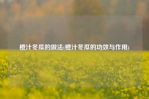 橙汁冬瓜的做法(橙汁冬瓜的功效与作用)