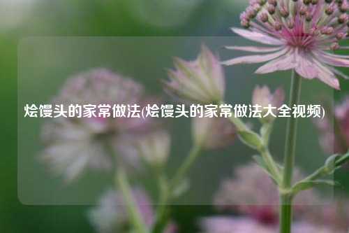 烩馒头的家常做法(烩馒头的家常做法大全视频)