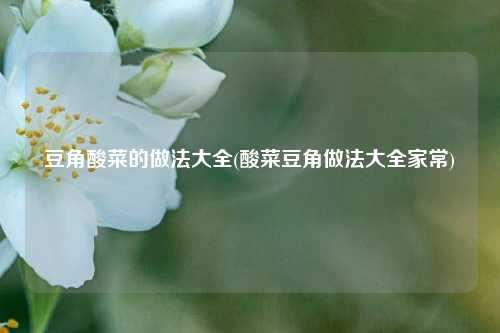 豆角酸菜的做法大全(酸菜豆角做法大全家常)
