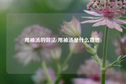 甩袖汤的做法(甩袖汤是什么意思)