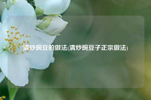 清炒豌豆的做法(清炒豌豆子正宗做法)